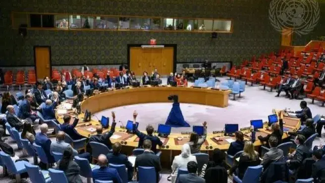联合国呼吁加沙实现人道主义停火  第3张