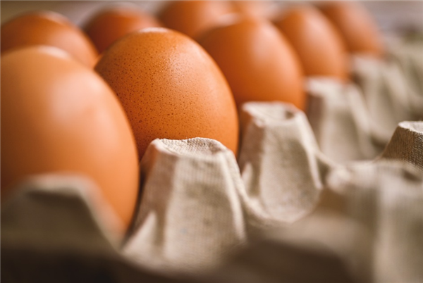 日本出现禽流感疫情：约4万只蛋鸡被扑杀