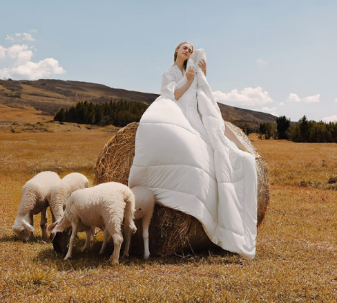 京东携手水星家纺开启超级品牌日 线上首发阳光卷毛澳洲进口羊毛被  第2张