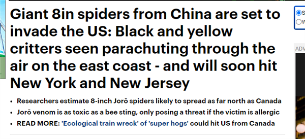 巴掌大蜘蛛入侵美国！明明亚洲都有分布：为何宣称来自中国  第2张