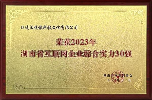  联通在线长沙公司蝉联“湖南省互联网企业30强”荣誉 第1张