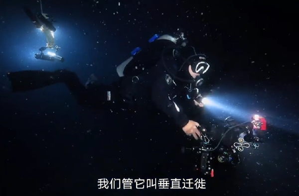 胡歌南海深潜：亲眼见证深海生物“垂直迁徙” 还捡回两块电池  第2张