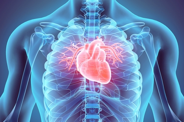 英国研发出心电图成像背心：有助降低心源性猝死风险