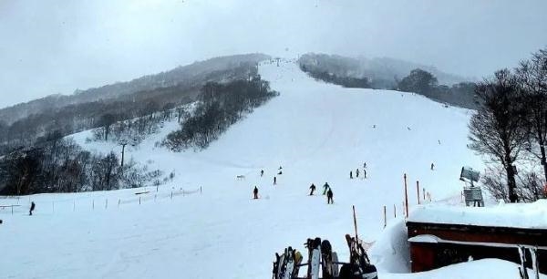 中国女子在日本滑雪被雪掩埋去世：一定注意这7点  第2张