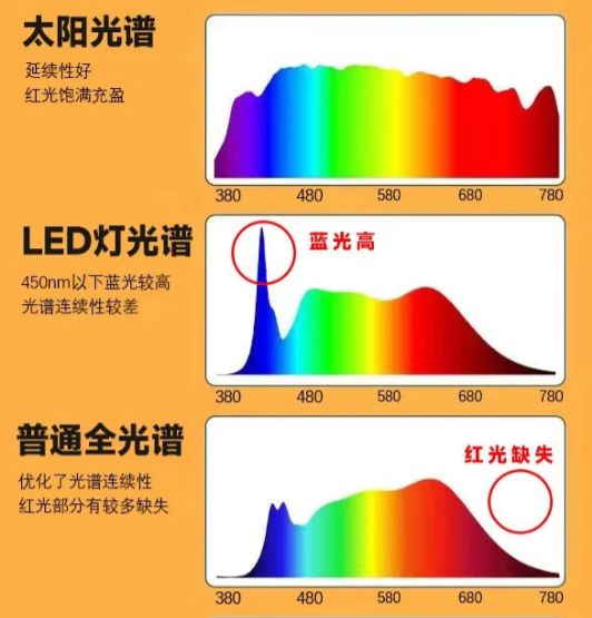 ddr3显卡和ddr4的区别 DDR3 vs DDR4：性能对比，你选谁？  第5张