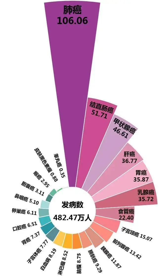 4G手机能用5G套餐？揭秘技术差异带来的兼容性挑战  第4张