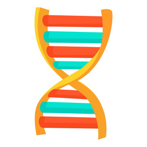 DNA损伤修复检测阴性：健康管理的关键措施与实践指南  第6张