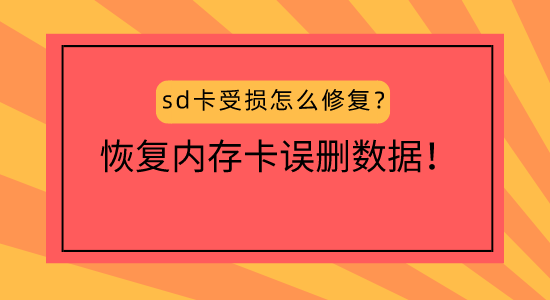 深度剖析 DDR 软件的重要性及其在数据恢复中的应用价值  第9张