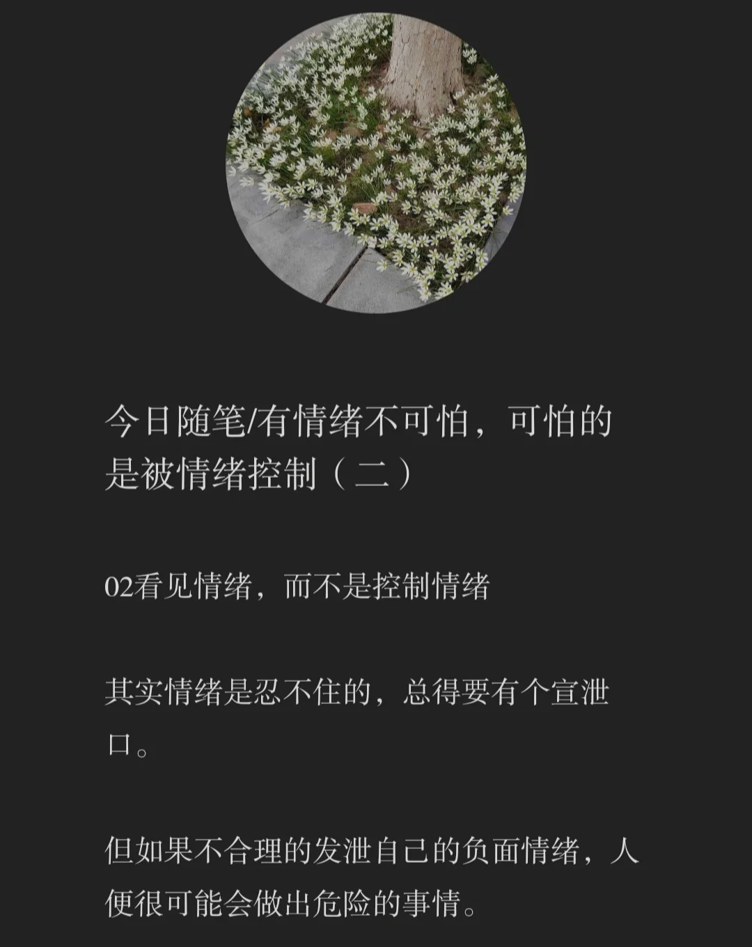 音箱：生活的调味剂，情感的宣泄口，与世界沟通的桥梁  第6张