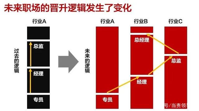 ddr总经理 DDR 总经理：企业成长的舵手，具备全面能力与关键领导力  第6张