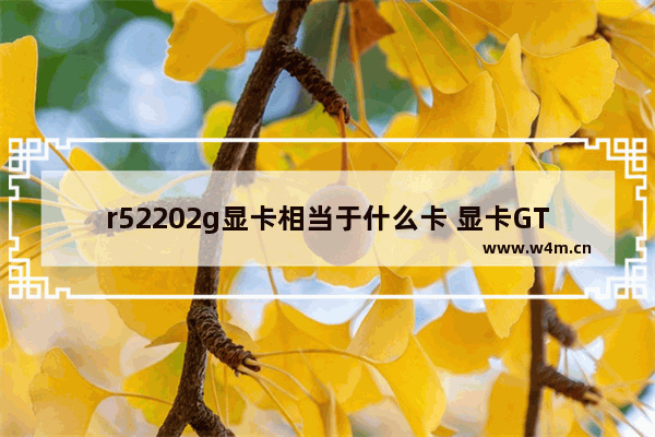 GT220 显卡更换攻略：性能不足或故障时如何挑选新卡并安装  第6张