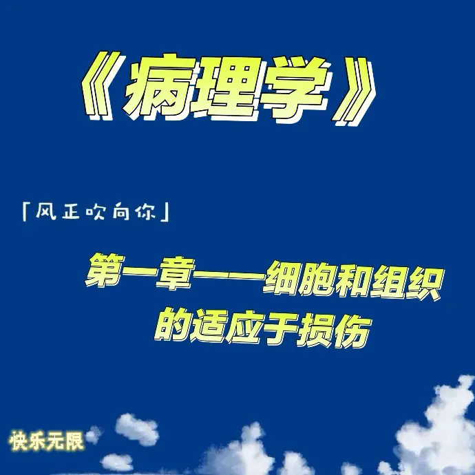 深入研究 DDR 损伤反应：理解细胞生命活动与疾病治疗的关键  第3张