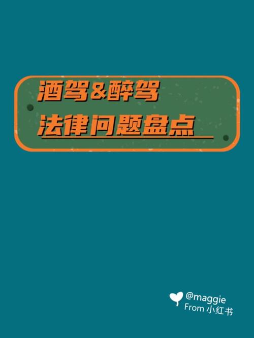 酒驾后自动驾驶，算不算酒驾？网友热议背后的法律盲区  第10张