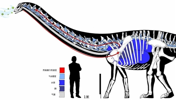 现代哺乳动物穿越到中生代 能否竞争过恐龙  第8张