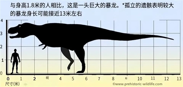 现代哺乳动物穿越到中生代 能否竞争过恐龙  第7张