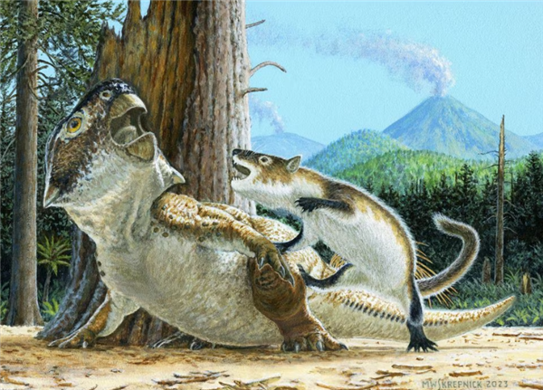 现代哺乳动物穿越到中生代 能否竞争过恐龙  第3张