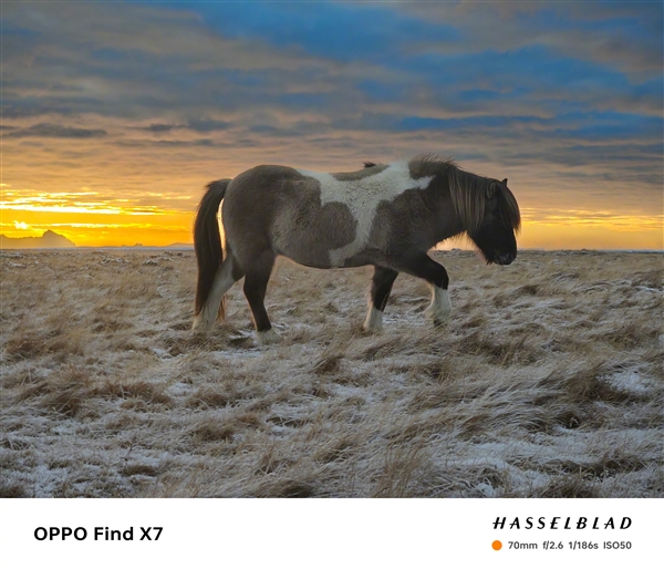 OPPO最强标准版：Find X7配备超光影三主摄  第3张