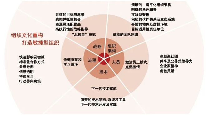 22553366ddr 数字化转型对人类生活方式的影响及未来发展趋势分析  第10张