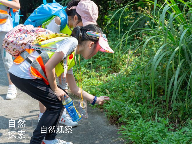 探索现代电子设备中DDR布局布线的关键原理和最佳实践  第6张