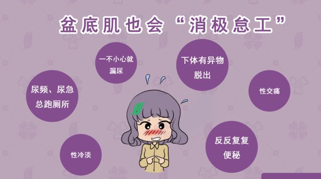 安卓系统康复疗法：盆底肌恢复的创新解决方案  第9张