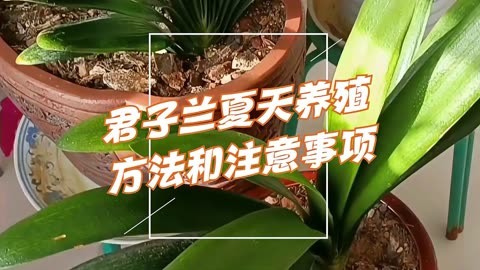 蓝牙音箱无法连接怎么办？解决方法大揭秘  第8张