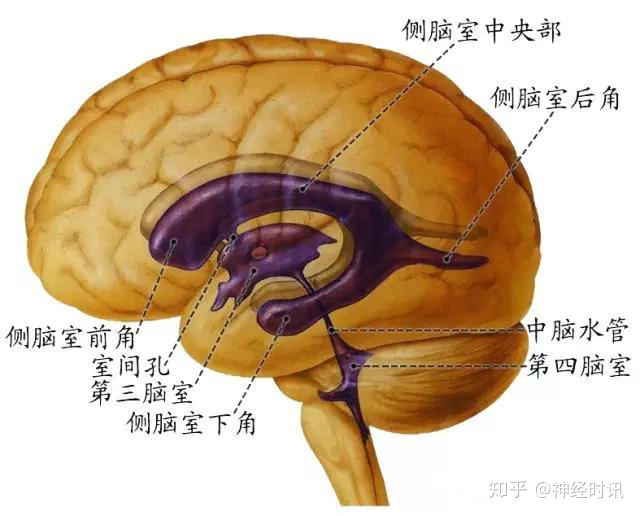 安卓系统：手机的中枢神经，主流设备阵营有哪些？  第8张