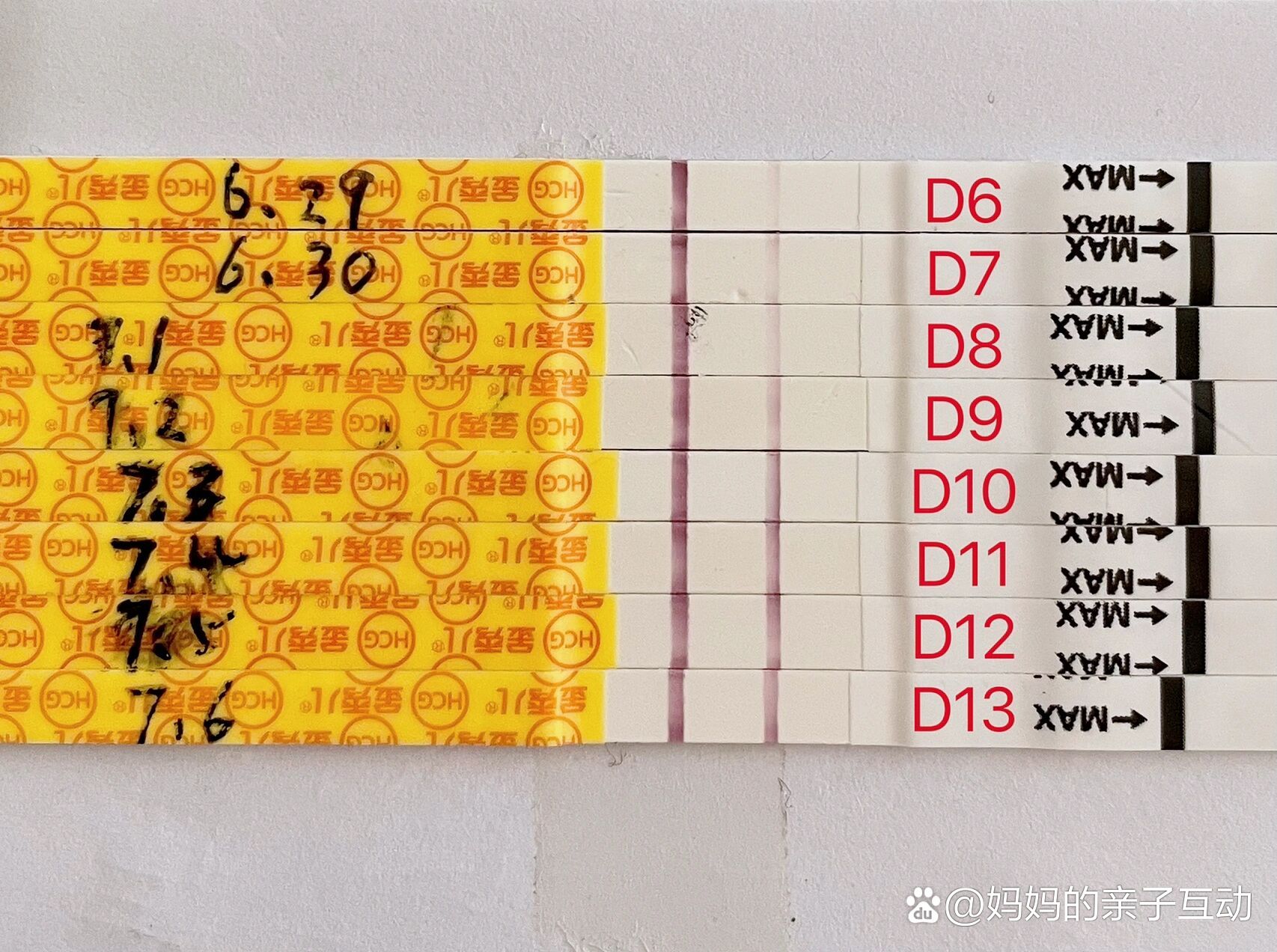 GT730 显卡 D3 与 D5 系列深度解析：游戏利器究竟花落谁家？  第8张