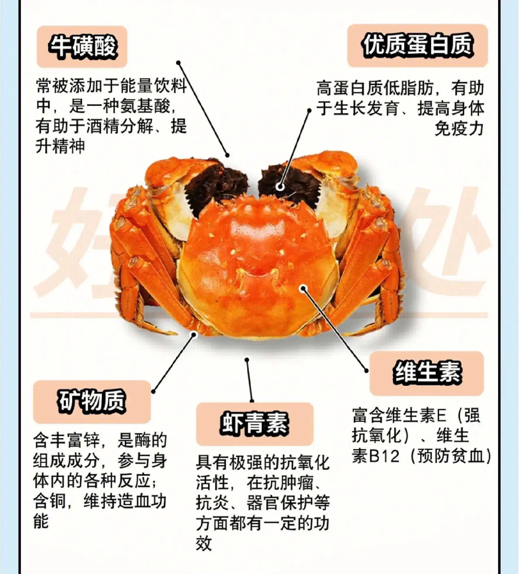 ddr 基因阳性：医学与生物学领域的特殊价值及研究意义  第4张