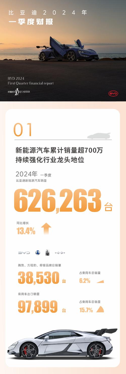 12月车市大爆发！比亚迪销量破50万，新能源汽车市场迎来历史新高  第3张