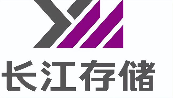 ddr 海力士 DDR海力士：技术创新领跑，市场竞争领先，助您洞悉信息技术产业的新趋势  第3张