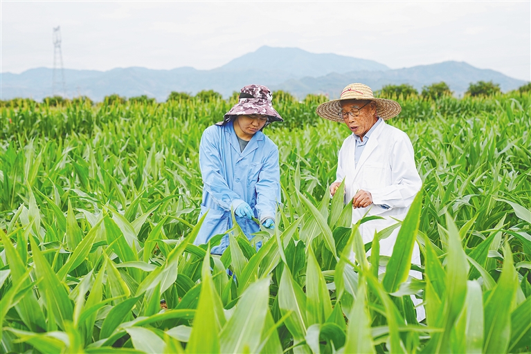 深度分析安卓系统裁剪技术：优化性能、减轻资源负担与加强安全防护  第10张