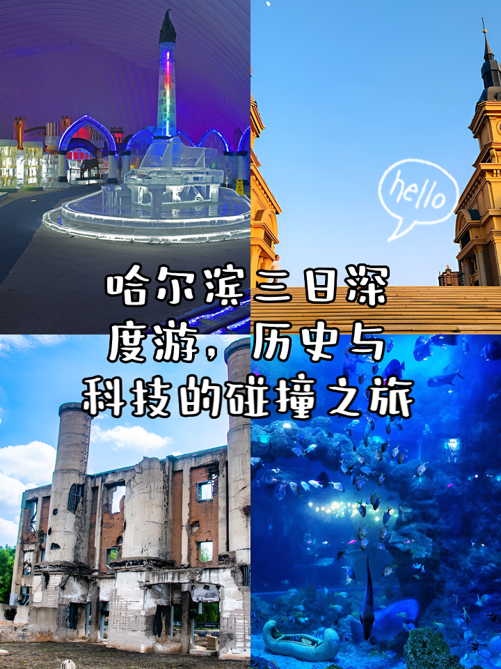 黑星音箱：深邃力量与音乐探险之旅的完美结合  第10张