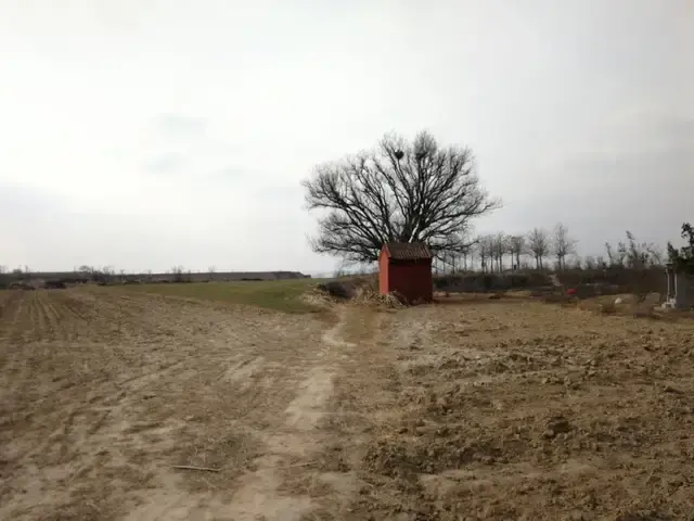 电脑黑屏故障难解决，显卡驱动更新或重装系统能否成为救命稻草？  第3张