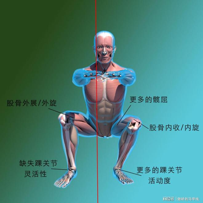 安卓版类似 kali 的系统：灵活性高但功能权限或受限  第9张