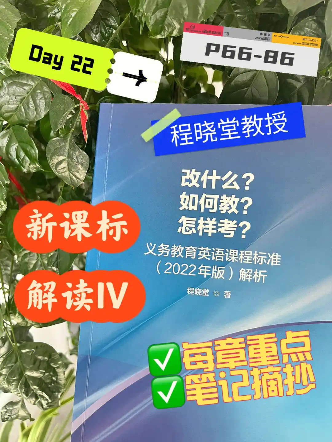 深入研究 ddr 发音规则，提升英语语音水平  第4张