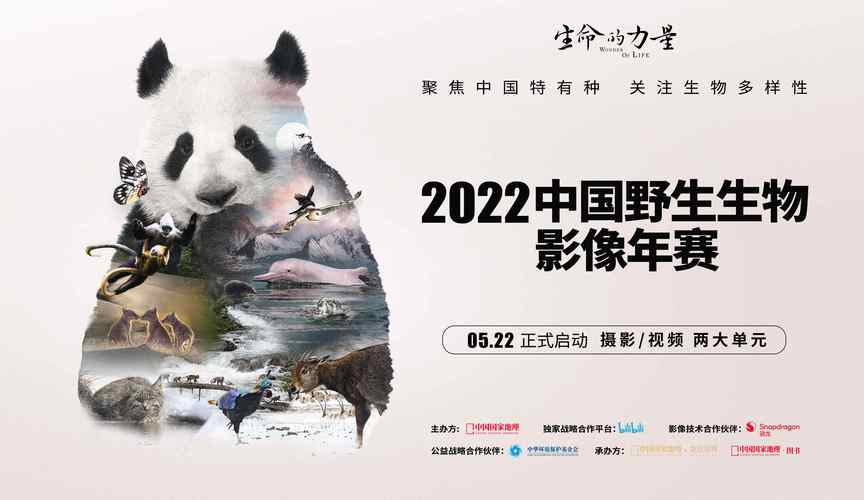 揭秘2024中国野生生物影像年赛：高通骁龙独家技术如何助力自然影像创作  第5张