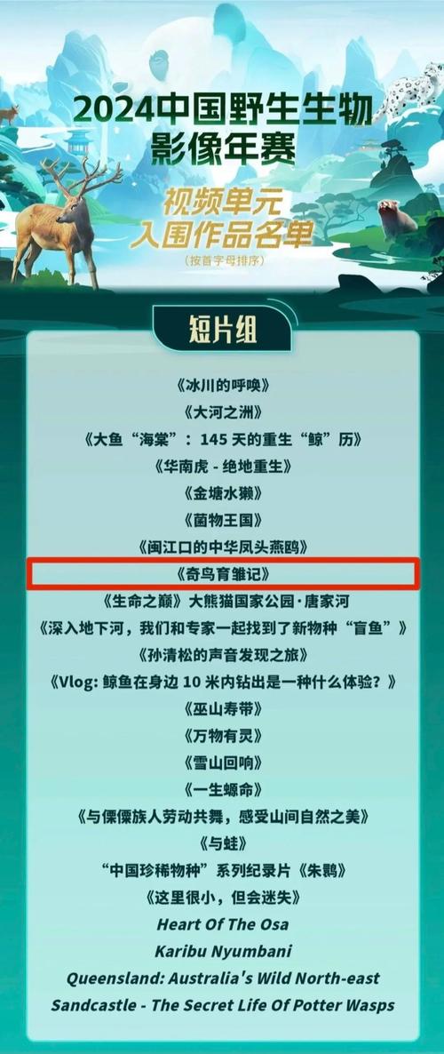 揭秘2024中国野生生物影像年赛：高通骁龙独家技术如何助力自然影像创作  第8张