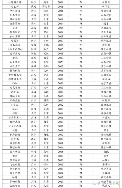 2024中国价值企业榜揭晓：量子数科领衔AI领域，谁将成为下一个独角兽？  第8张