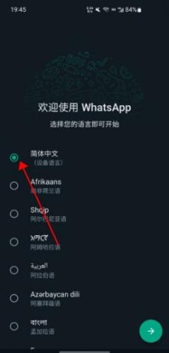 whatsapp聊天软件：WhatsApp：社交媒体经理的高效利器