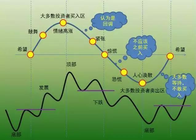 5G手机选购攻略：速度延迟对比，全球频段悬念解密  第5张