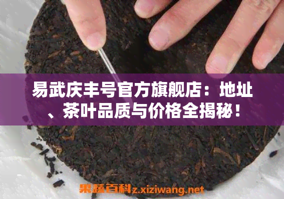 如何选择和连接电脑音响与音箱：实用技巧与选购指南  第5张