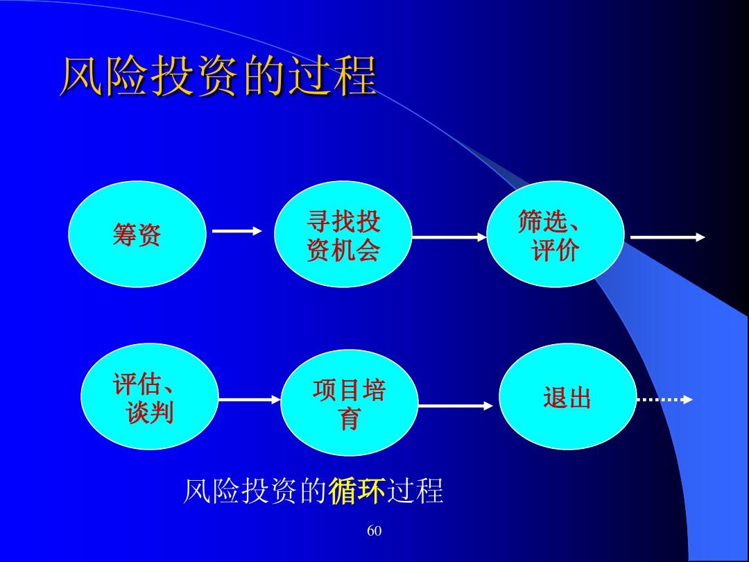 深度分析：DDR项目投资机遇与挑战全面解析，市场前景与风险评估  第4张