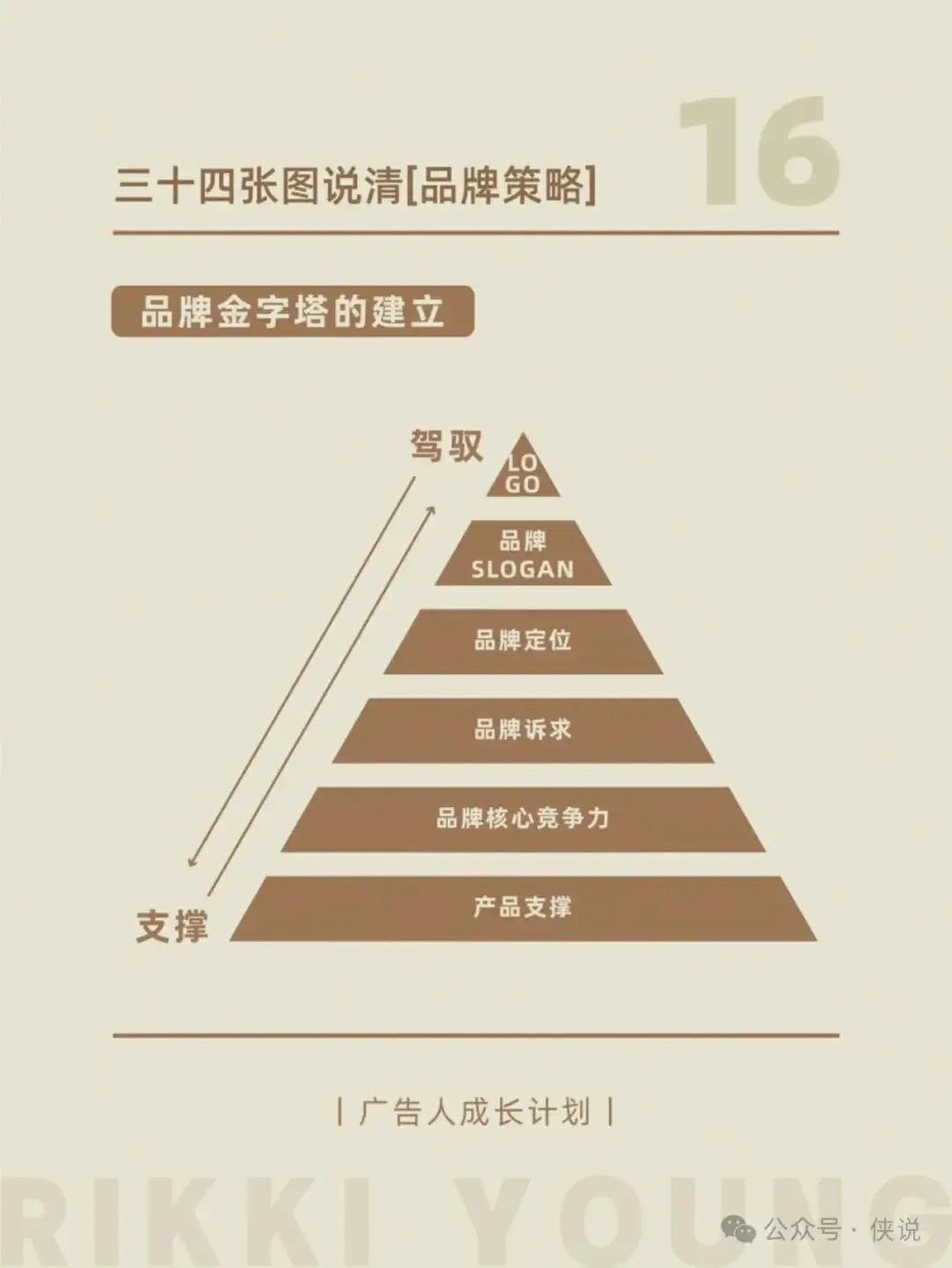 o 版 DDR：独特标识、价值与市场规律的深度探讨