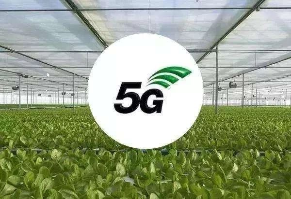 5G 网络普及升级，带来更快速度、更多便利和重大变革  第5张