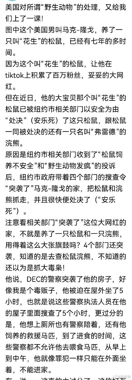 网红松鼠花生之死：一场意外卷入美国选举的网络风暴  第12张