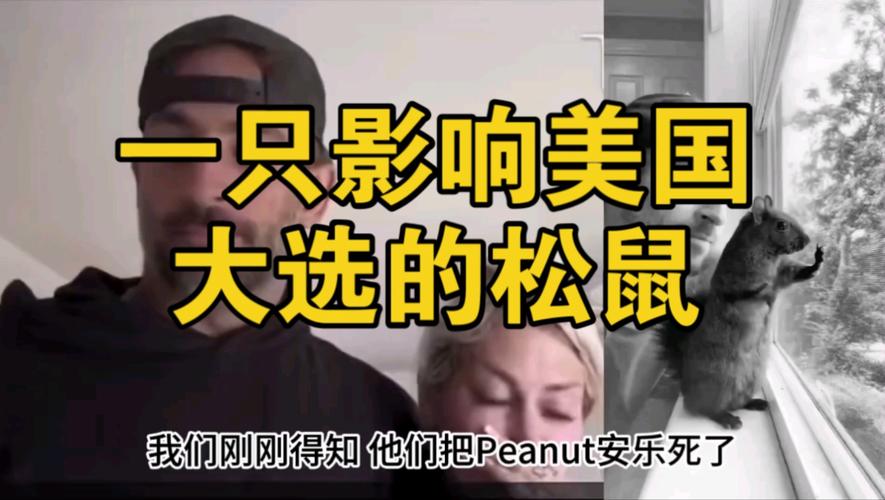 网红松鼠花生之死：一场意外卷入美国选举的网络风暴  第4张