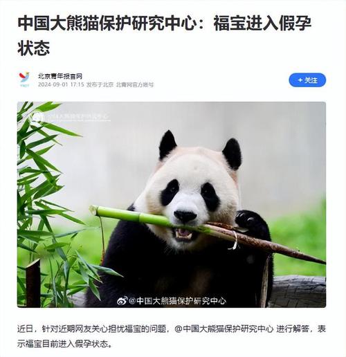 大熊猫福宝突发异常，网友热议：是寒冷还是健康危机？专家紧急介入调查