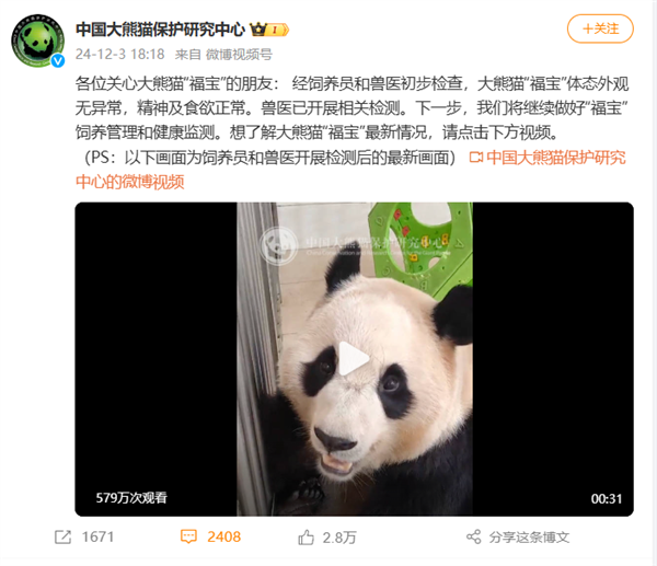 大熊猫福宝突发异常，网友热议：是寒冷还是健康危机？专家紧急介入调查  第6张