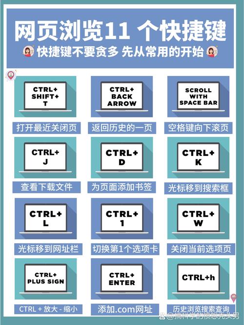 Windows 11 2025年大更新：Passkey管理更便捷，全新快捷键组合即将亮相  第9张