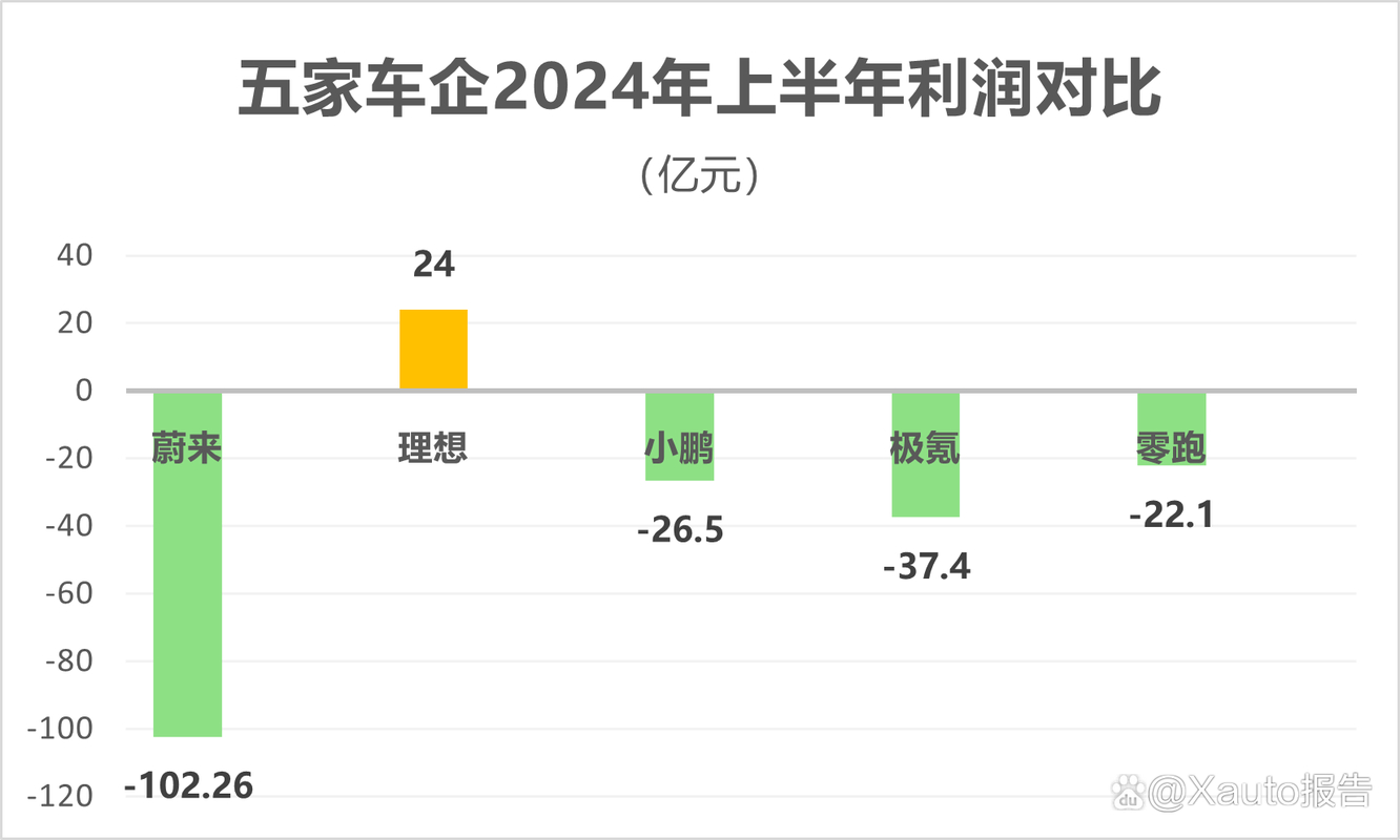 2025年汽车销量预测大揭秘：蔚来、小鹏、零跑谁将翻倍增长？  第2张